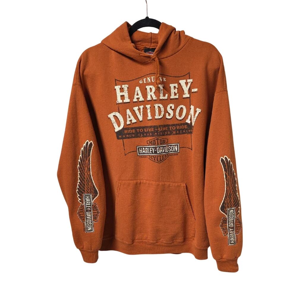 Harley Davidson Vintage 2000s San Diego Hooded Graphic Logo Sweatshirt Large